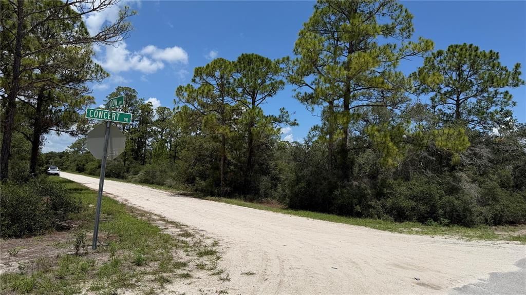 En Venta: $14,999 (0.25 acres)