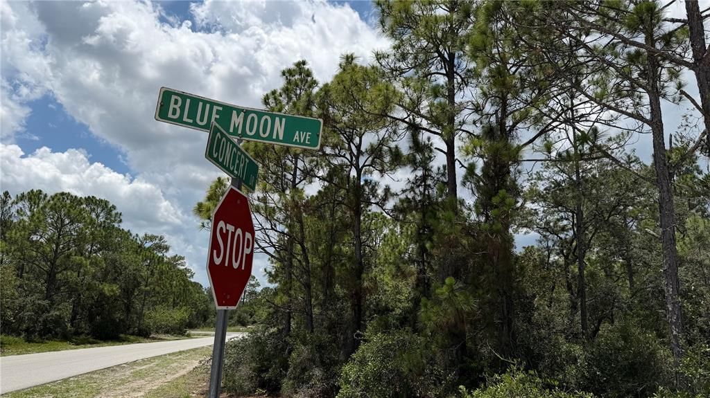 En Venta: $14,999 (0.25 acres)