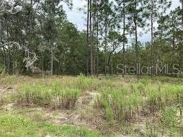 Недавно продано: $20,000 (1.00 acres)