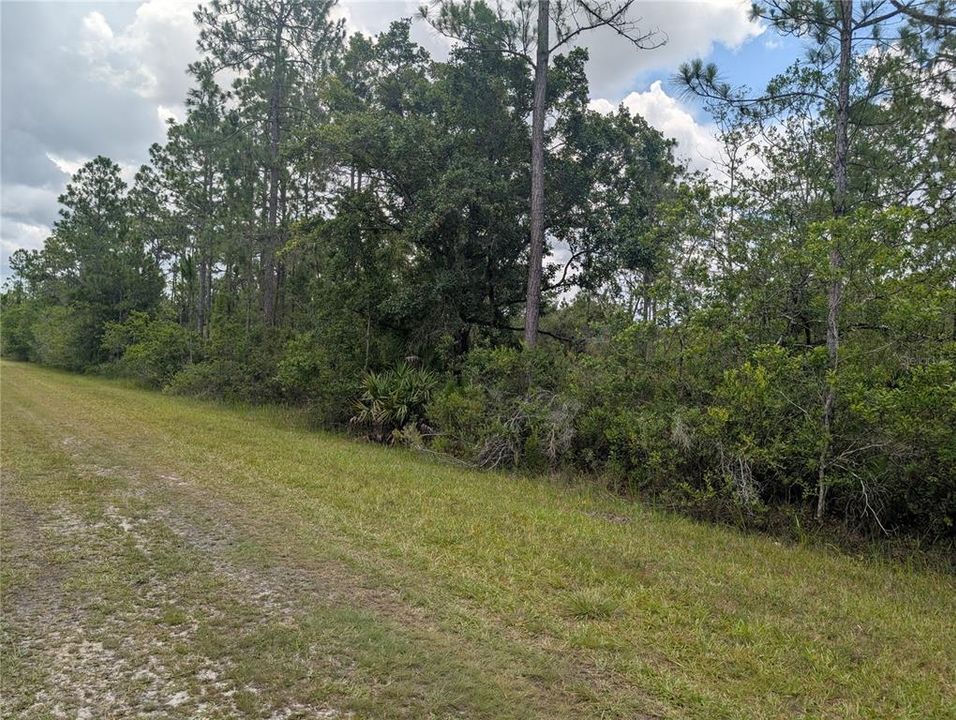 待售: $11,500 (0.50 acres)