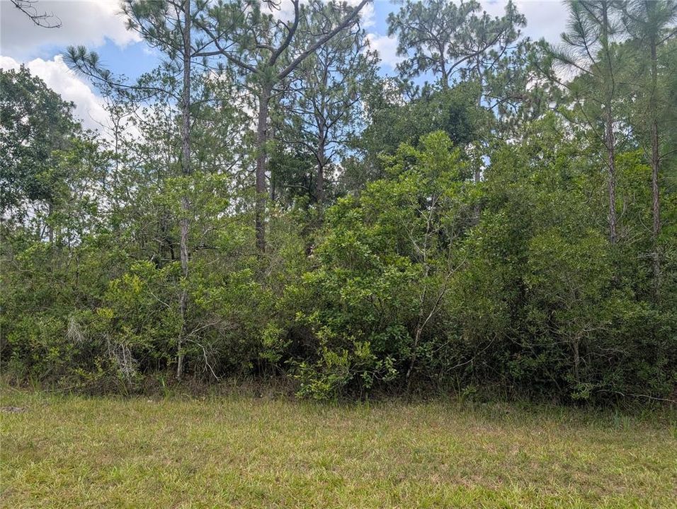 待售: $11,500 (0.50 acres)