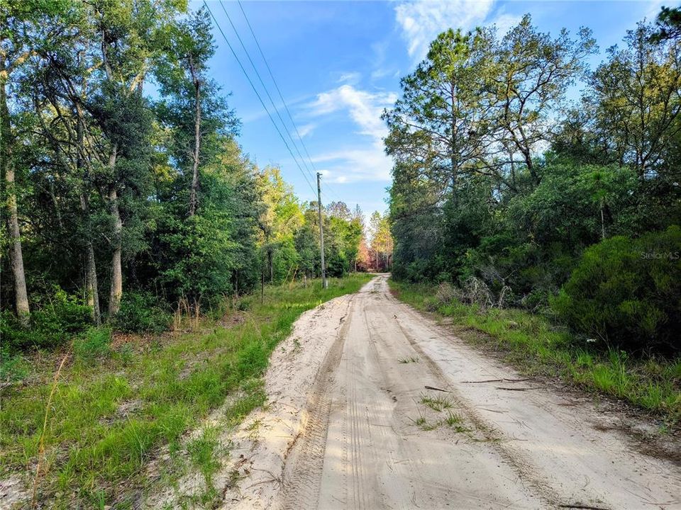 На продажу: $27,000 (1.25 acres)