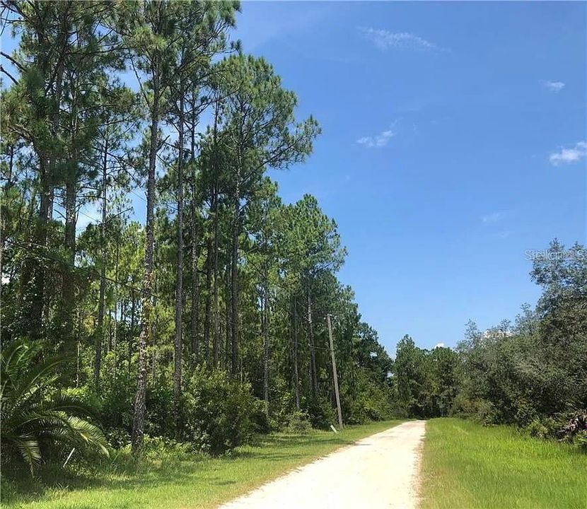 For Sale: $260,000 (6.05 acres)