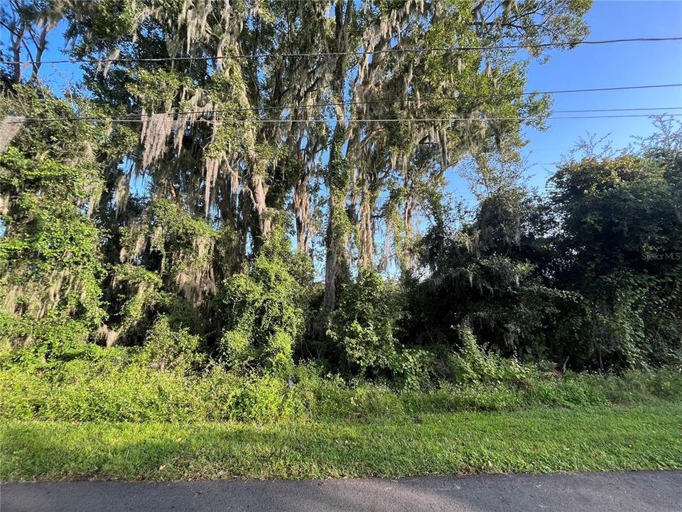 En Venta: $36,899 (0.37 acres)