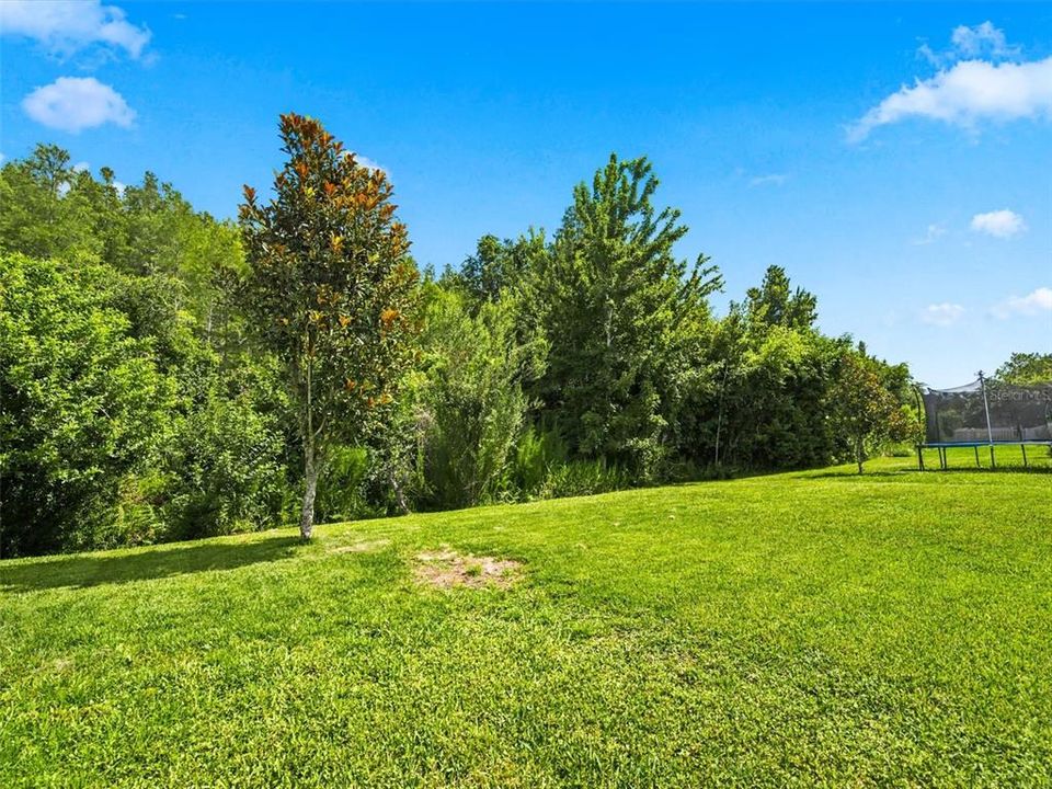 Под контрактом: $395,000 (4 спален, 2 ванн, 1905 Квадратных фут)