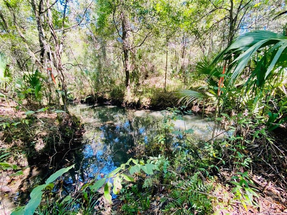 На продажу: $119,000 (3.10 acres)