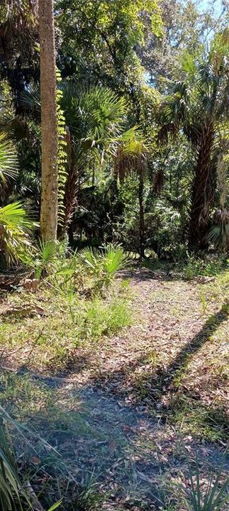 На продажу: $119,000 (3.10 acres)