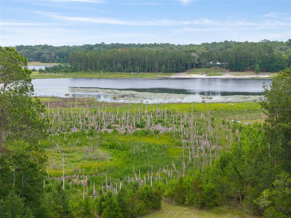 待售: $98,000 (1.51 acres)