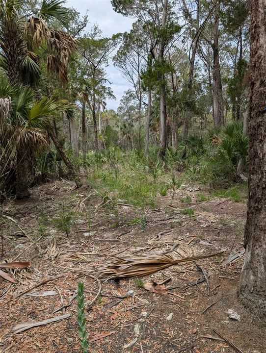 En Venta: $199,000 (20.00 acres)