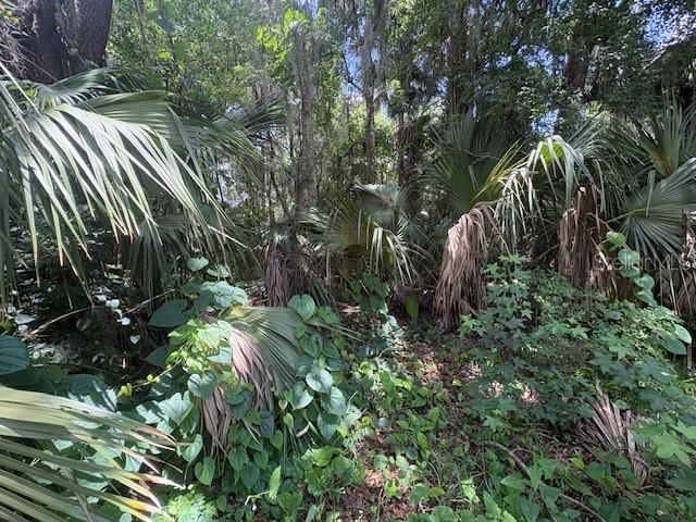 For Sale: $118,000 (0.52 acres)