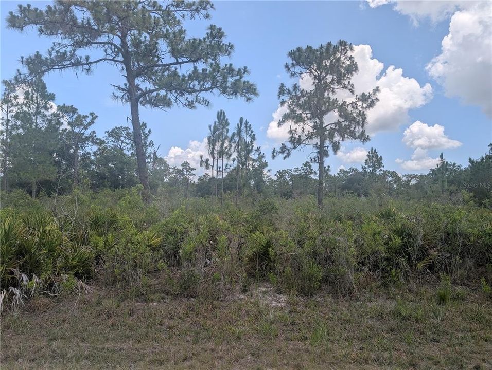 For Sale: $15,000 (0.50 acres)