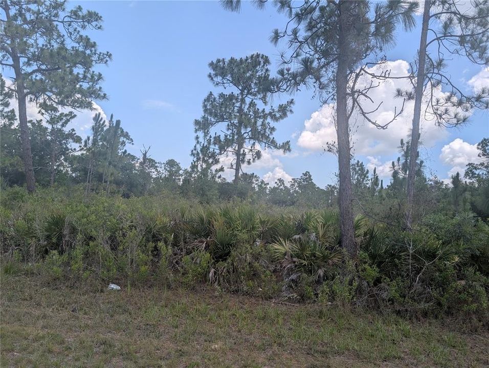 For Sale: $15,000 (0.50 acres)