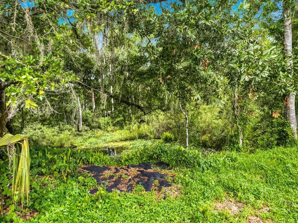На продажу: $429,000 (3 спален, 2 ванн, 1825 Квадратных фут)