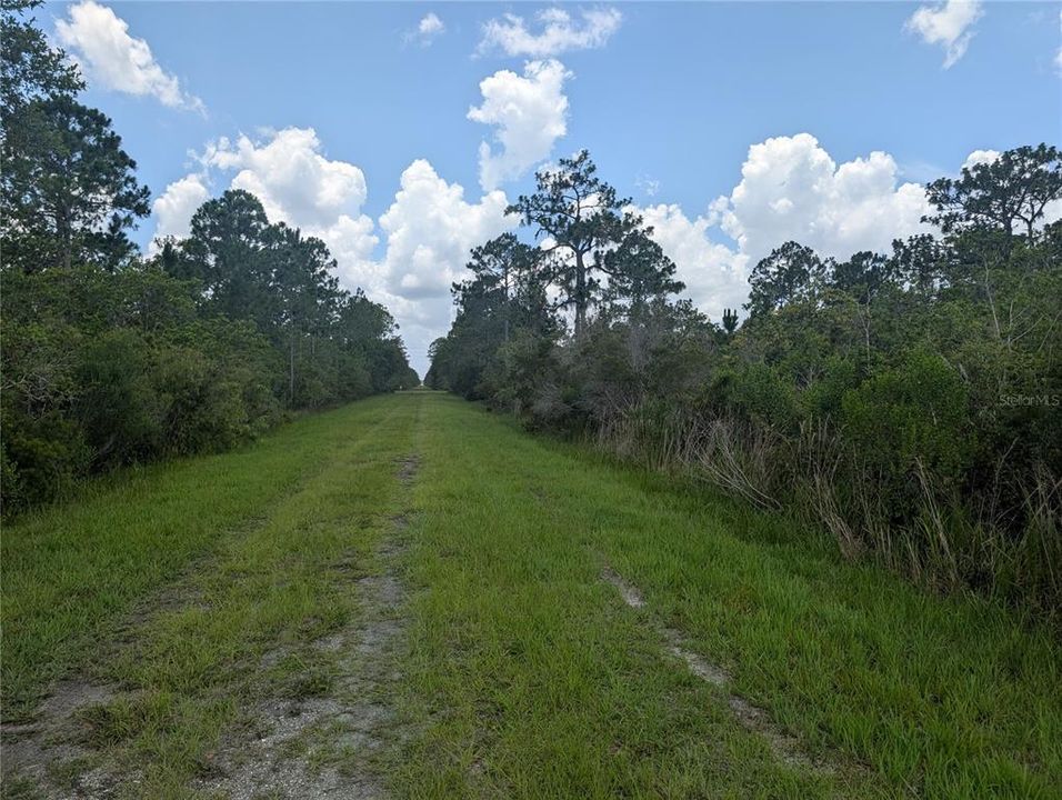 待售: $11,500 (0.50 acres)
