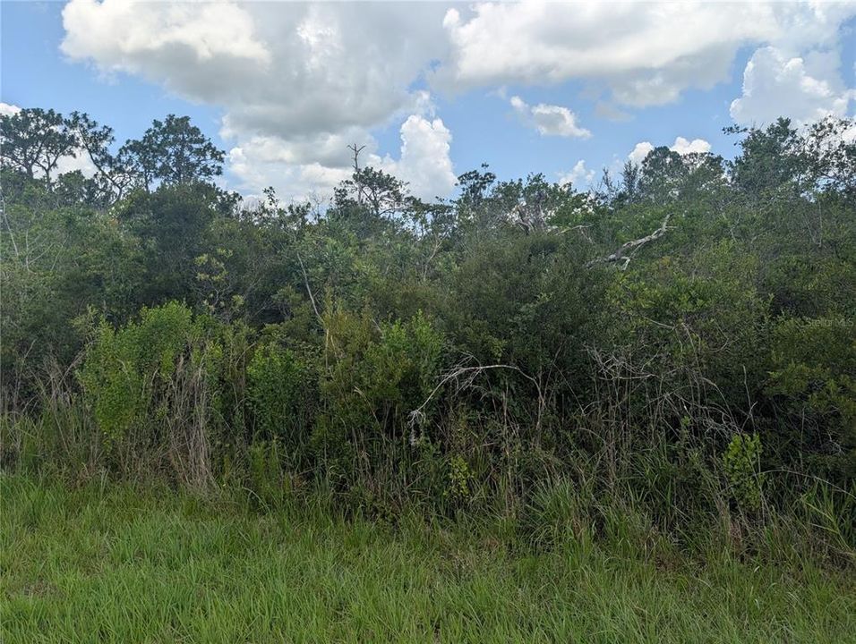 待售: $11,500 (0.50 acres)