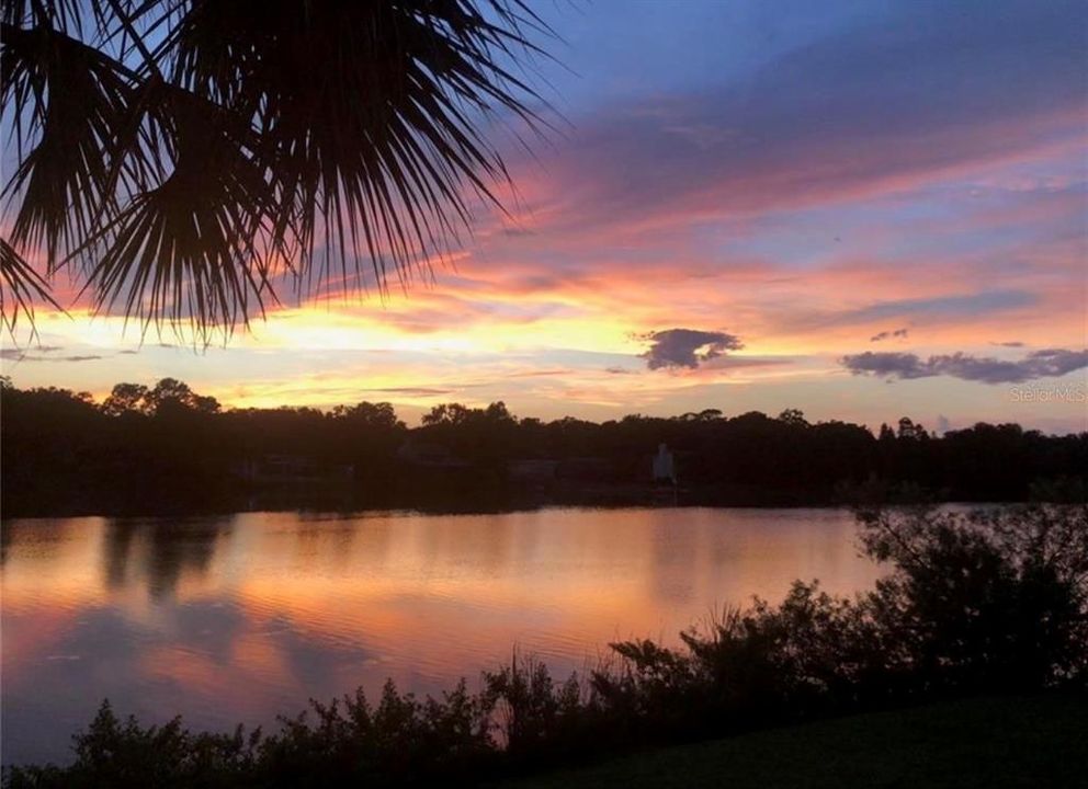 For Rent: $1,850 (3 beds, 2 baths, 993 Square Feet)