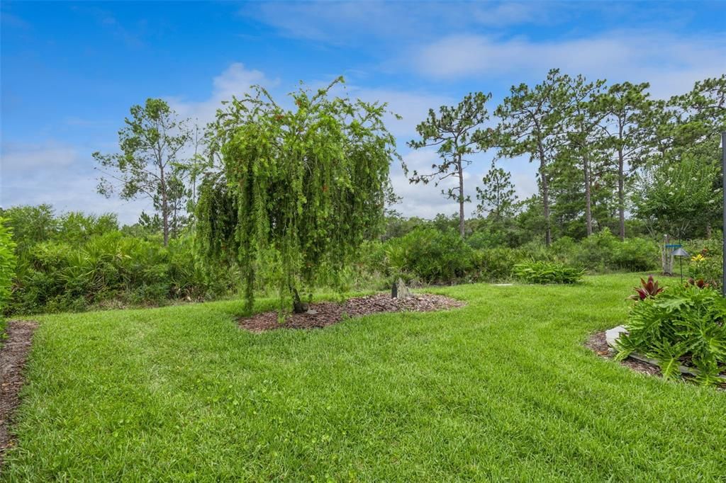 En Venta: $485,000 (2 camas, 2 baños, 1932 Pies cuadrados)
