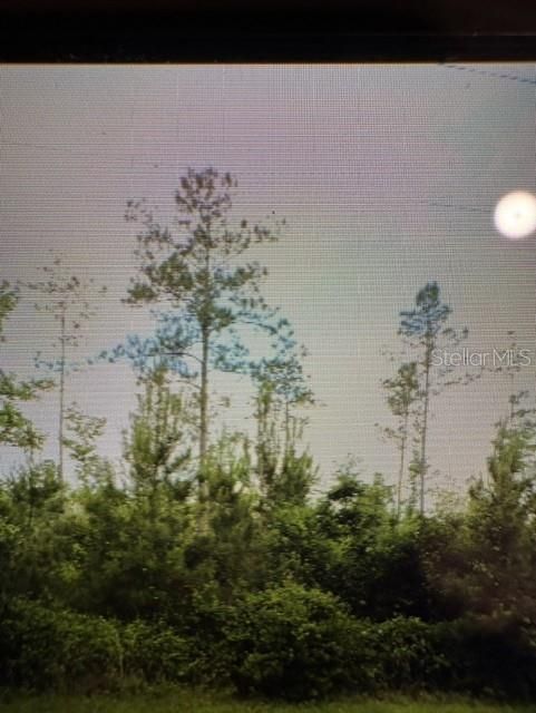 En Venta: $1,500,000 (60.00 acres)