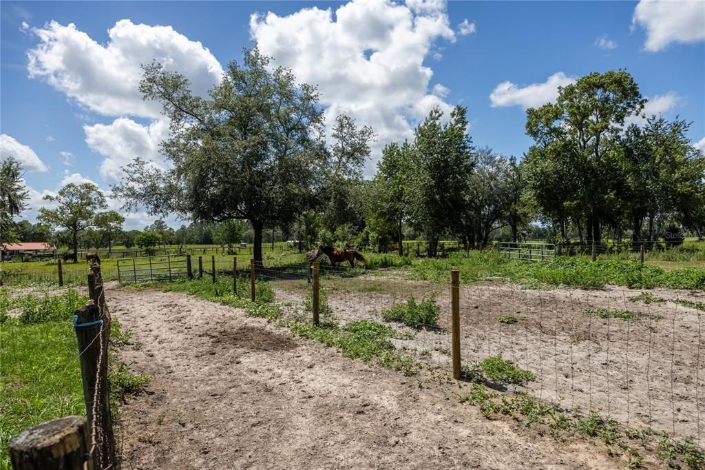 En Venta: $769,500 (5 camas, 4 baños, 3315 Pies cuadrados)