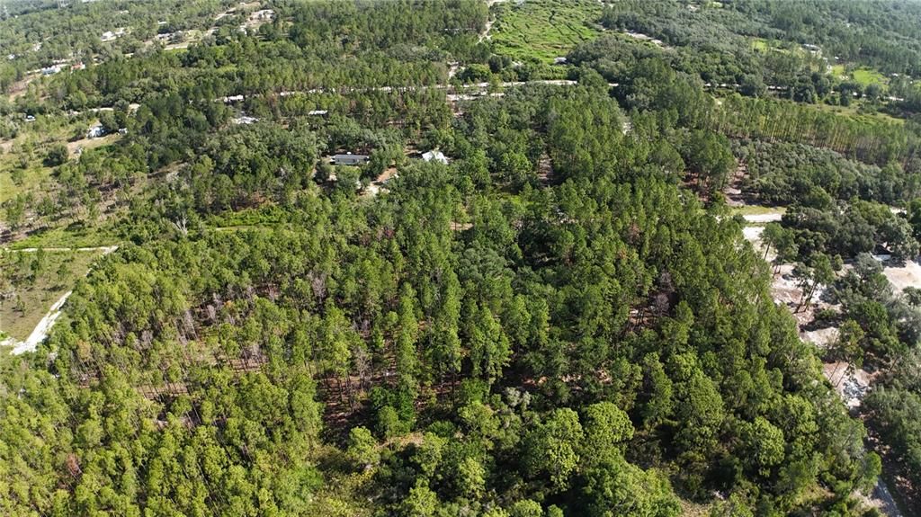 En Venta: $49,900 (1.25 acres)