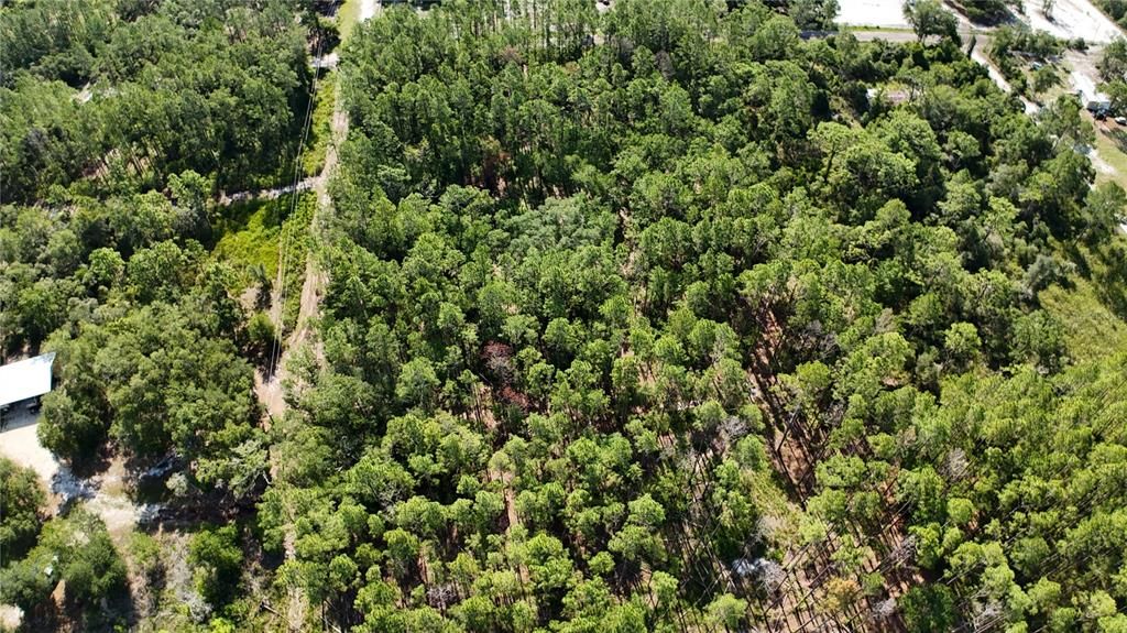 En Venta: $49,900 (1.25 acres)