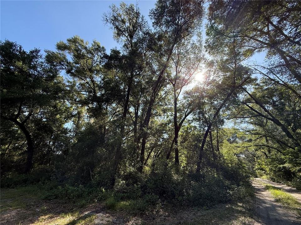 For Sale: $28,900 (0.22 acres)