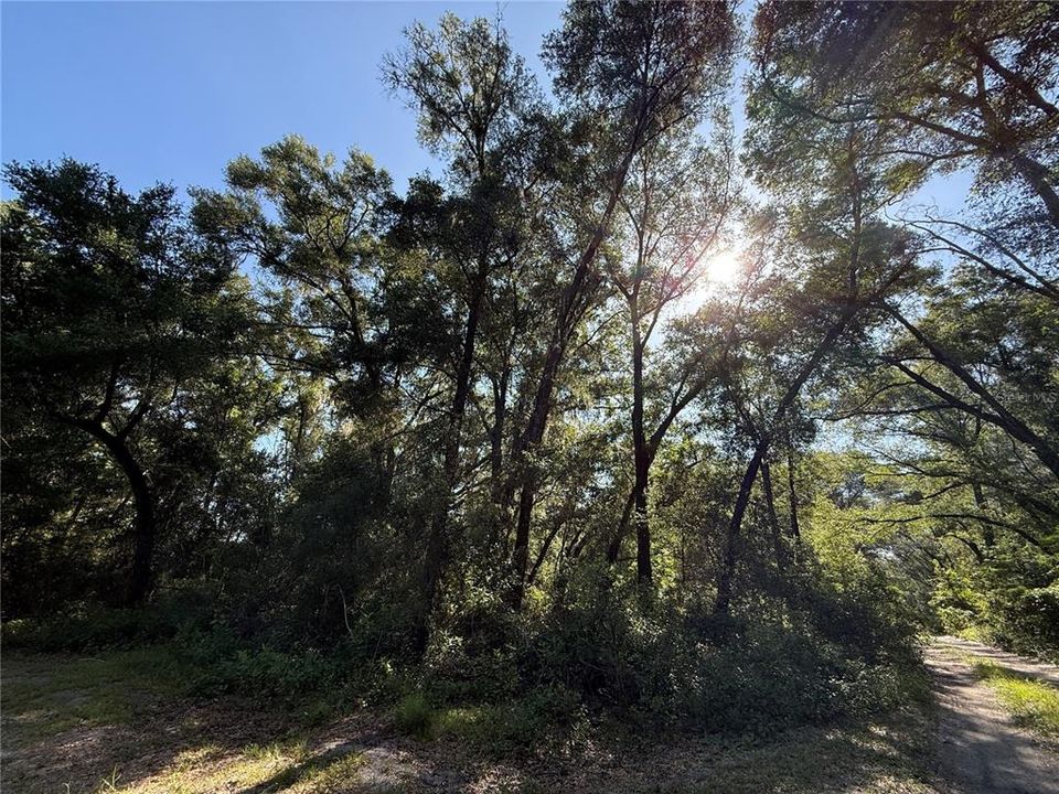 For Sale: $28,900 (0.22 acres)