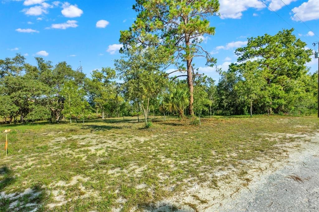 На продажу: $48,000 (0.46 acres)