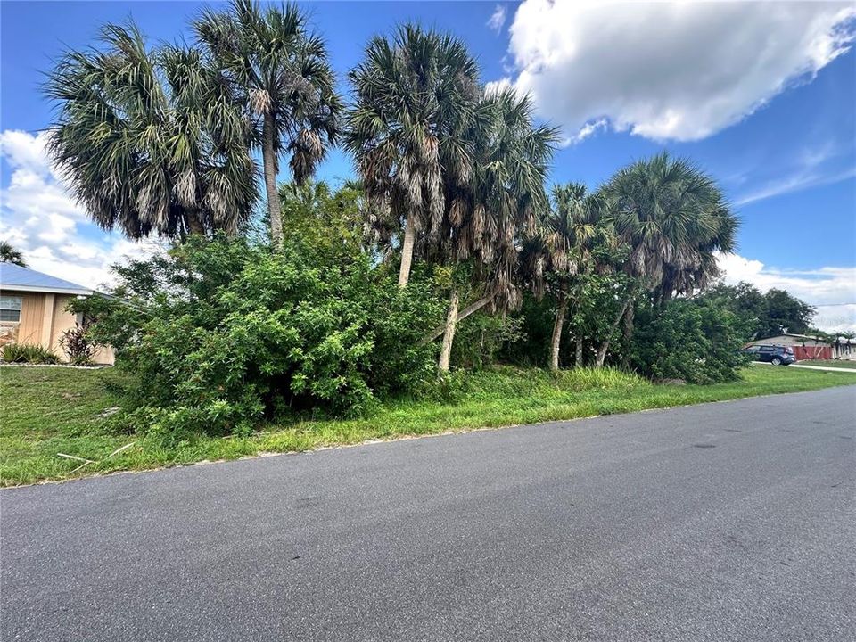 For Sale: $22,000 (0.23 acres)