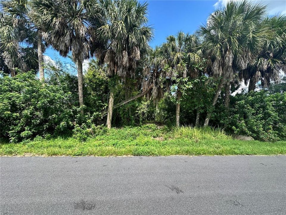 For Sale: $22,000 (0.23 acres)
