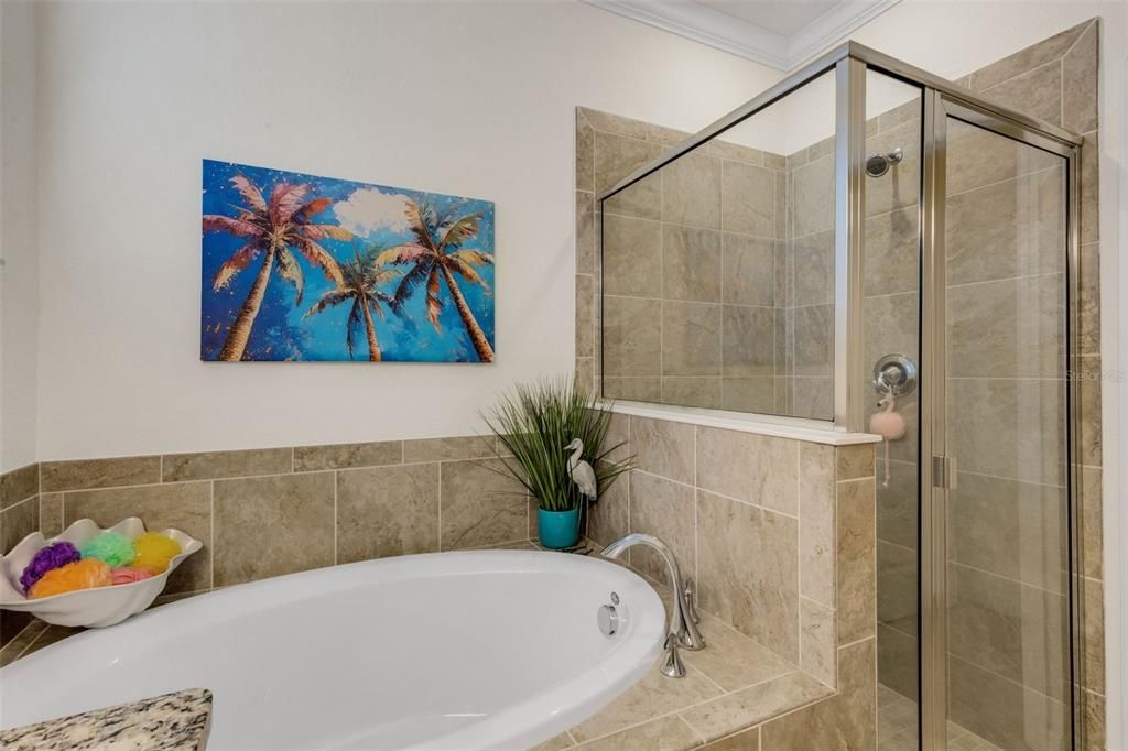 Activo con contrato: $465,000 (3 camas, 2 baños, 1669 Pies cuadrados)