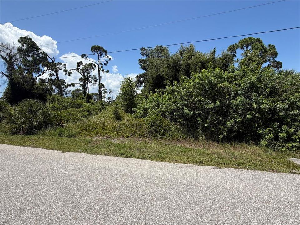 待售: $45,000 (0.46 acres)