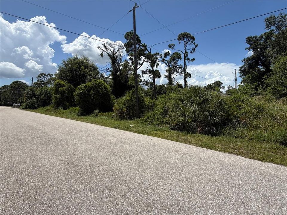待售: $45,000 (0.46 acres)