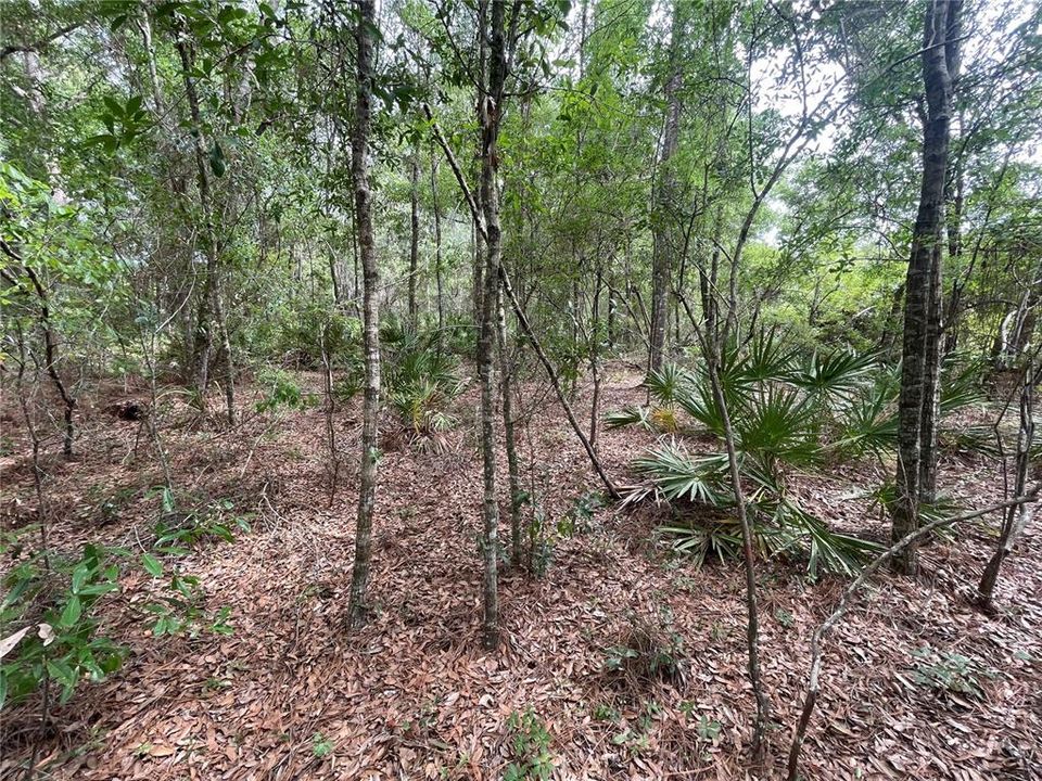 На продажу: $27,700 (0.50 acres)