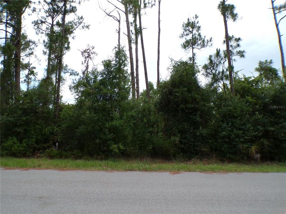 For Sale: $18,000 (0.24 acres)