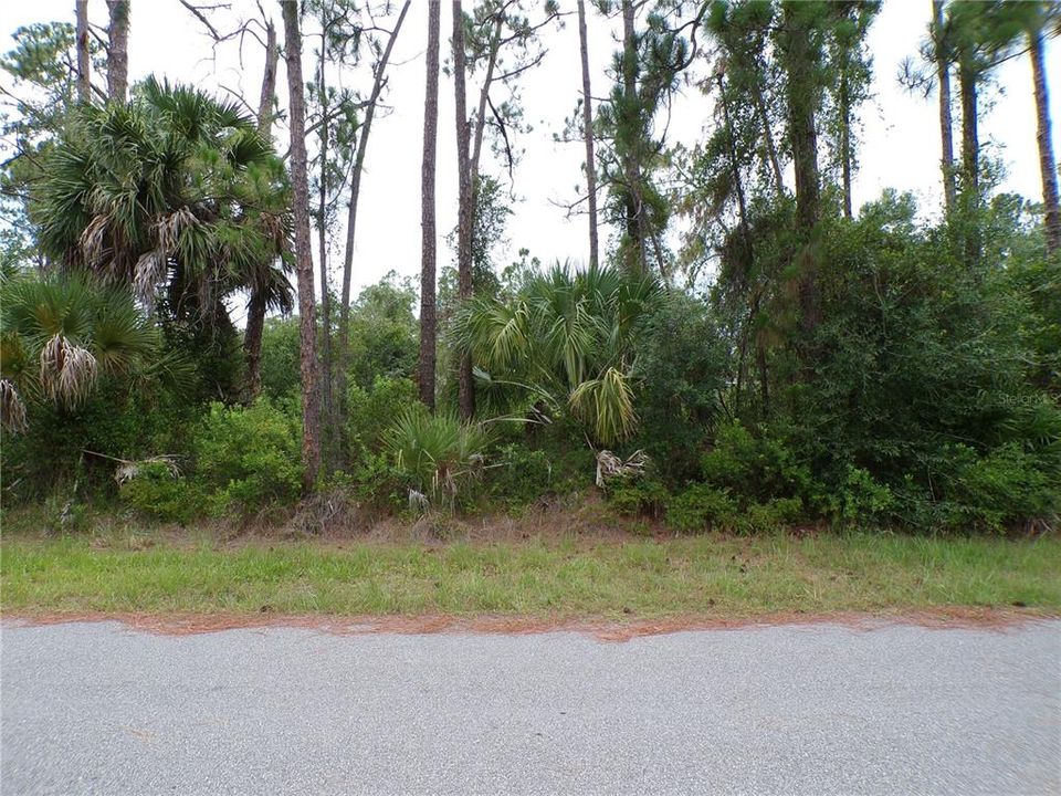 For Sale: $18,000 (0.24 acres)