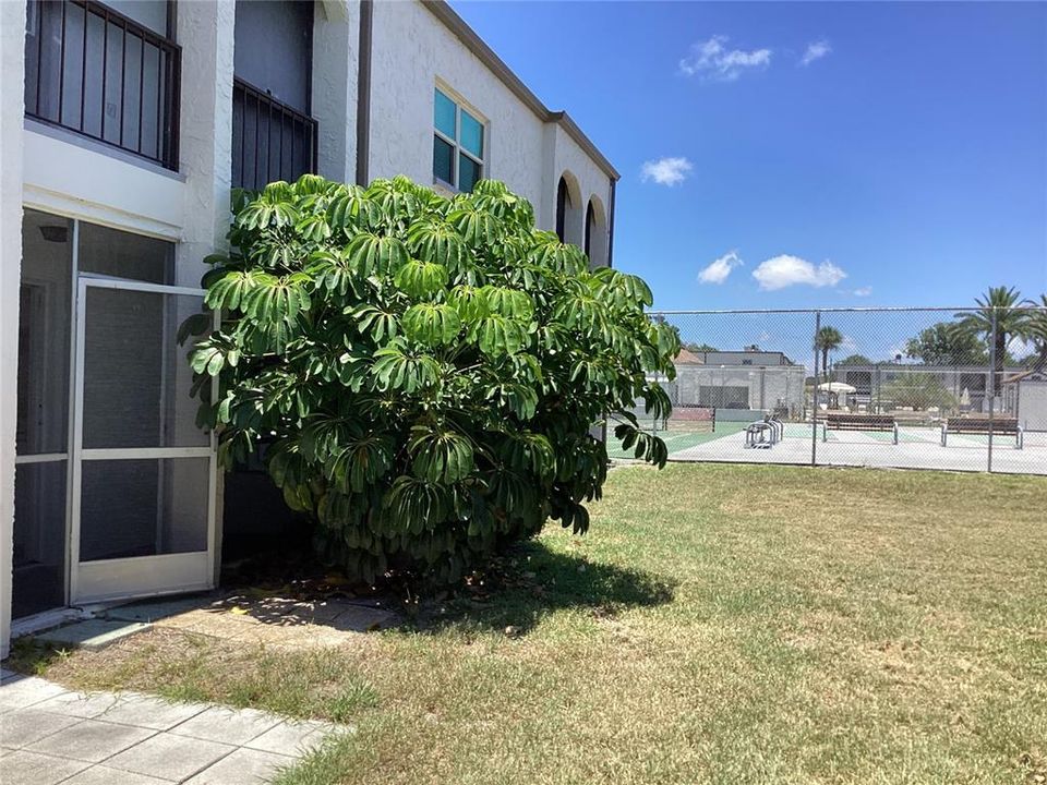 For Rent: $1,200 (1 beds, 1 baths, 530 Square Feet)