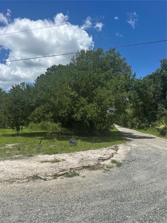 For Sale: $110,000 (1.18 acres)