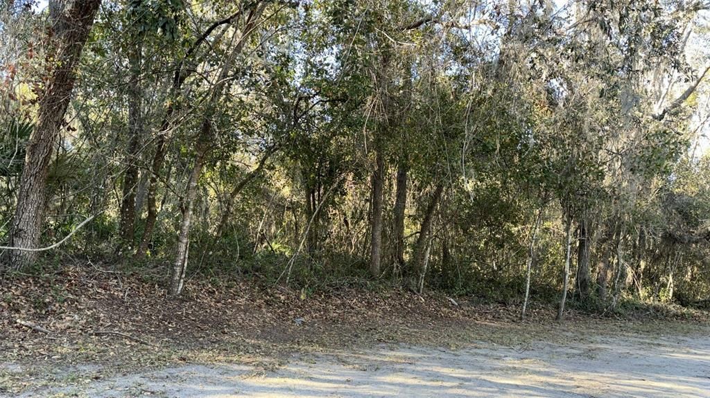 For Sale: $98,000 (0.71 acres)