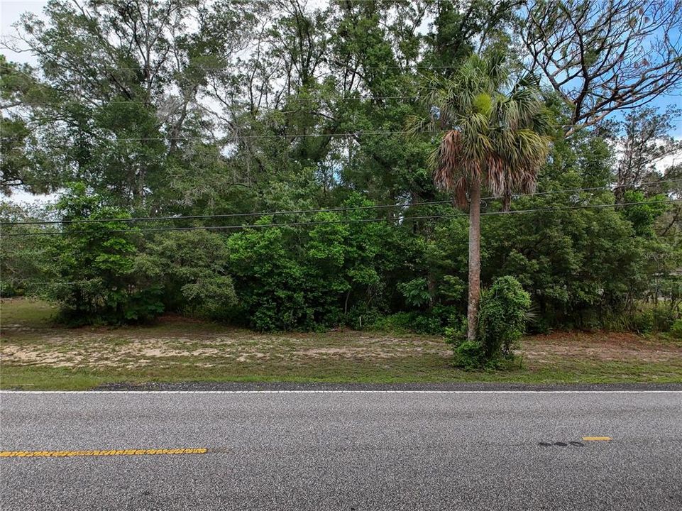 For Sale: $89,900 (1.37 acres)