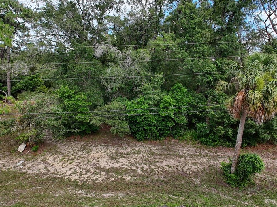 For Sale: $89,900 (1.37 acres)