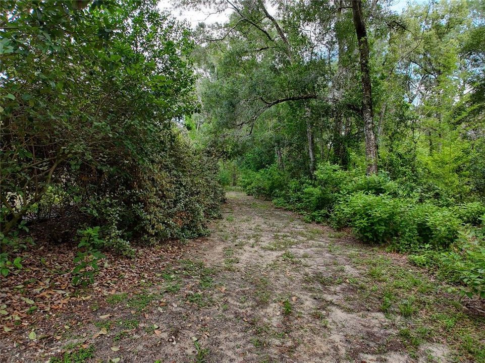 For Sale: $89,900 (1.37 acres)