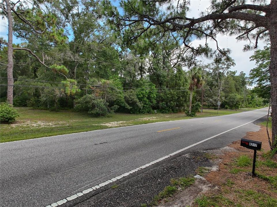 For Sale: $89,900 (1.37 acres)