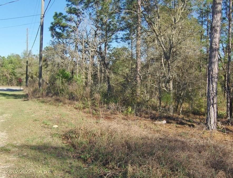 For Sale: $19,900 (0.23 acres)