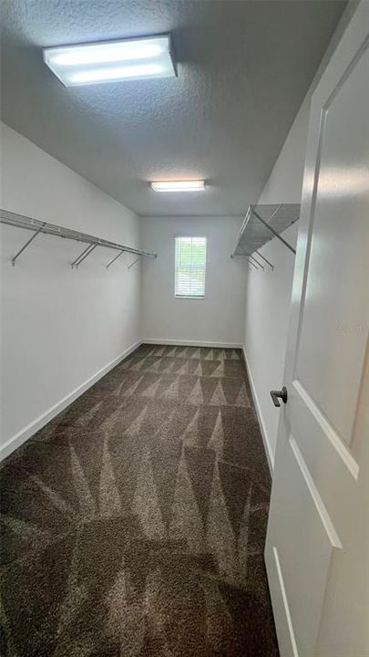 En Renta: $2,750 (4 camas, 2 baños, 2346 Pies cuadrados)