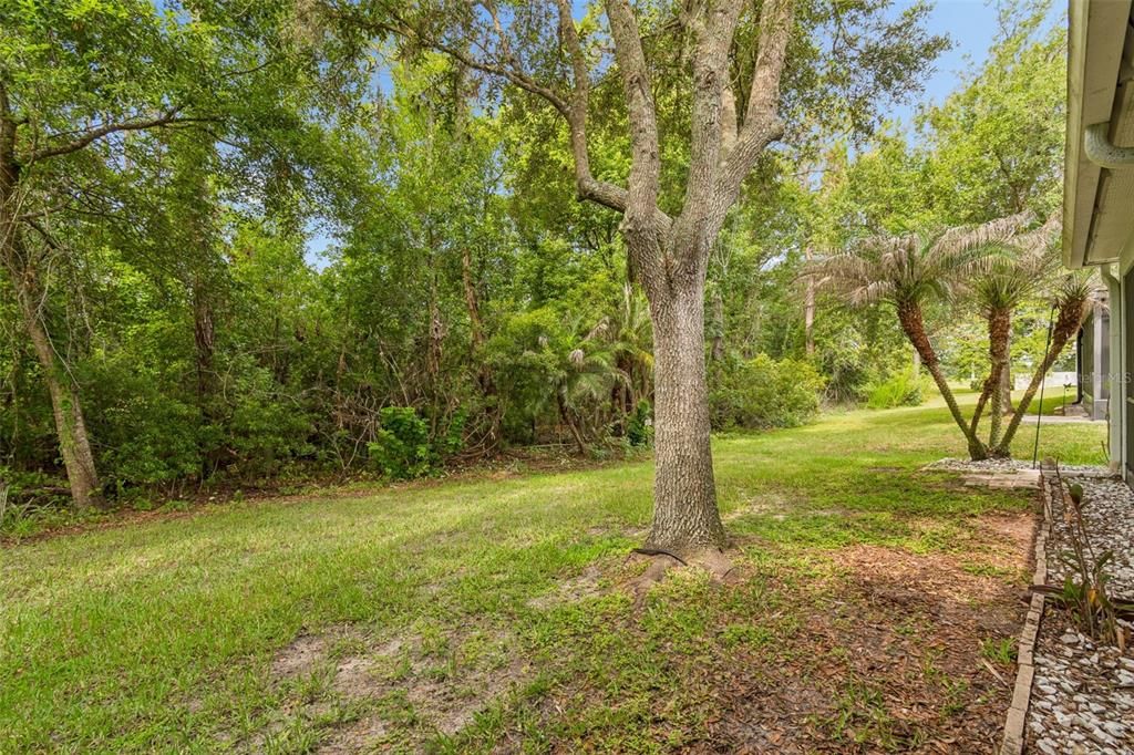 For Sale: $245,000 (3 beds, 2 baths, 1492 Square Feet)