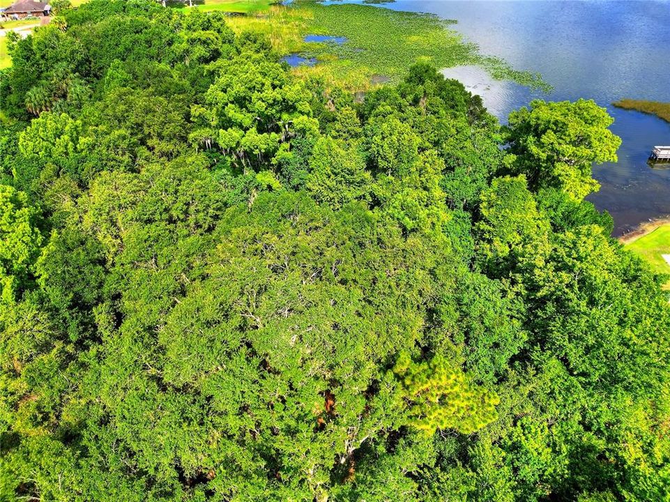На продажу: $271,900 (2.86 acres)