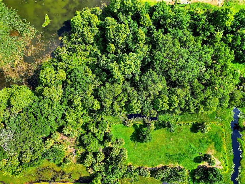 На продажу: $271,900 (2.86 acres)