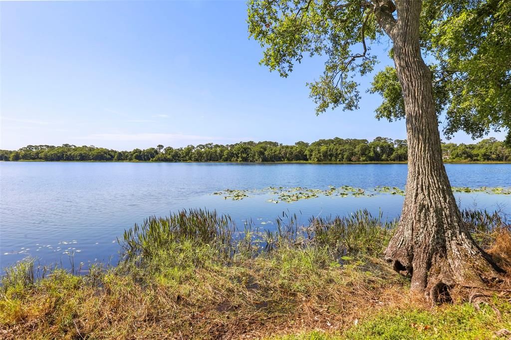 For Sale: $550,000 (4 beds, 2 baths, 1872 Square Feet)