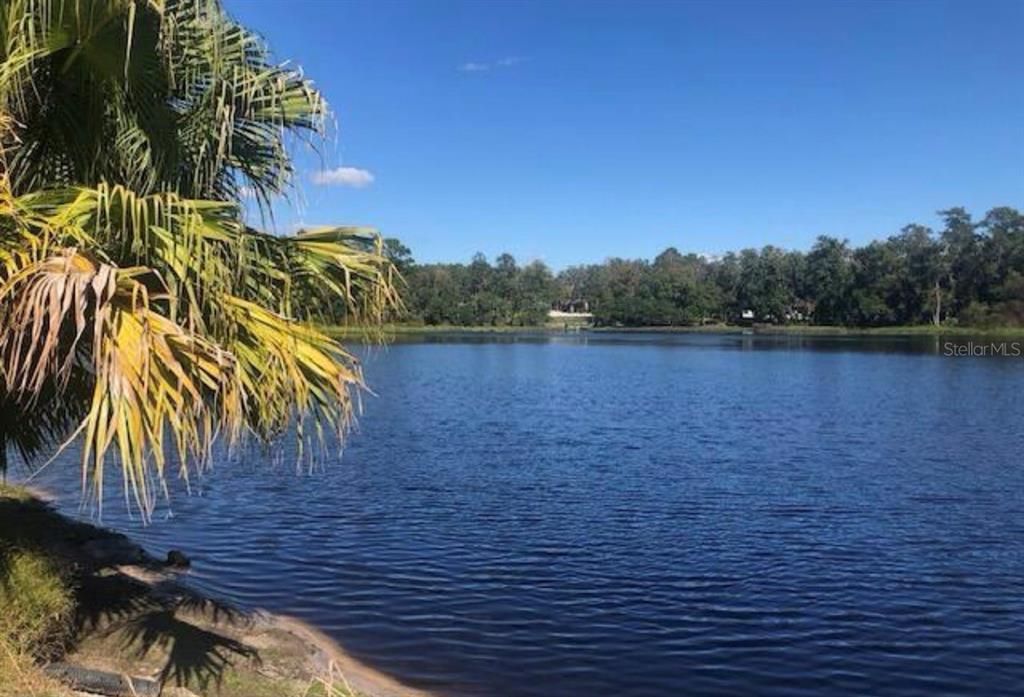 En Venta: $95,000 (0.10 acres)
